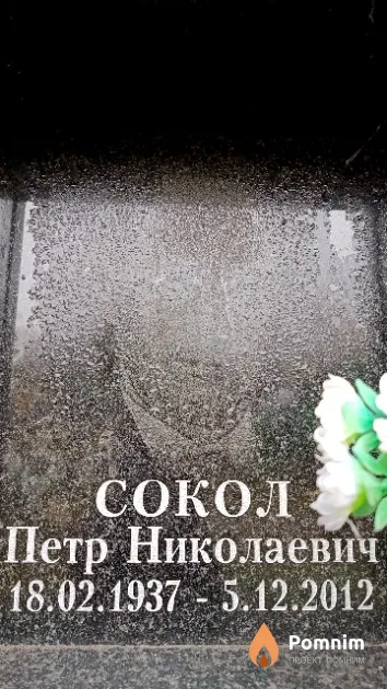 Сокол Петр Николаевич