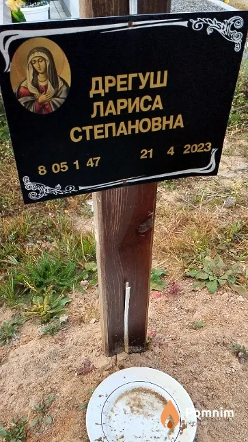 Дрегуш Лариса Степановна
