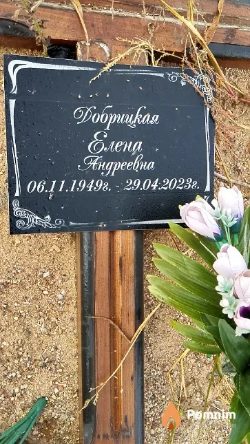 Добрицкая Елена Андреевна