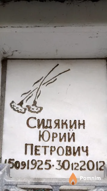Сидякин Юрий Петрович