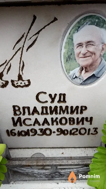 Суд Владимир Исаакович
