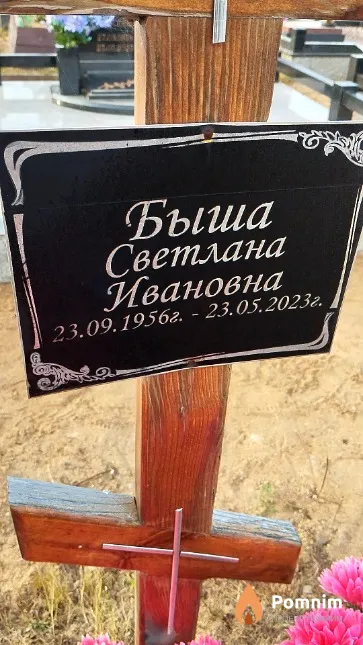 Быша Светлана Ивановна
