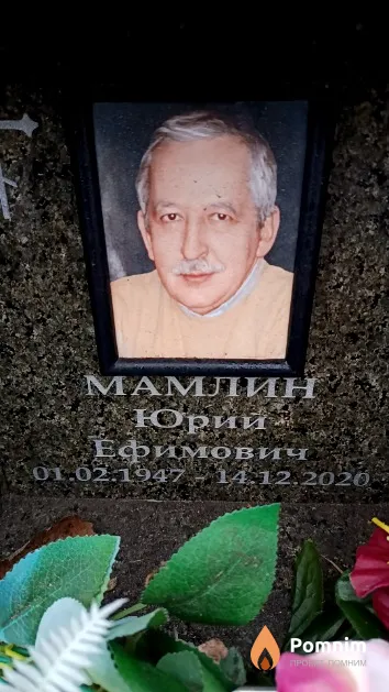 Мамлин Юрий Ефимович