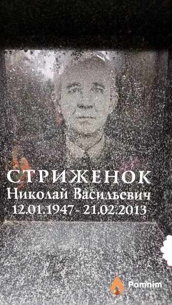 Стриженок Николай Васильевич