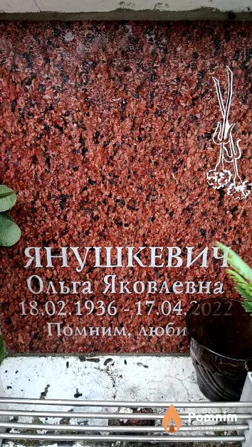 Янушкевич Ольга Яковлевна