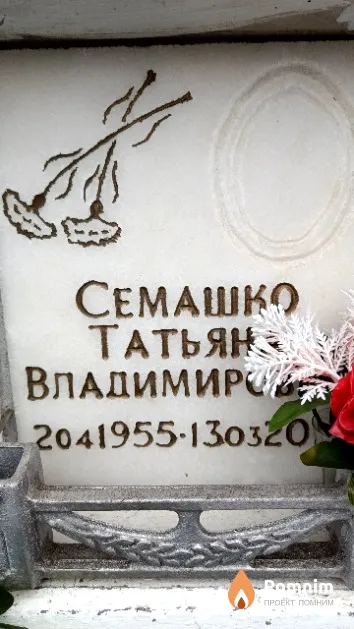 Семашко Татьяна Владимировна