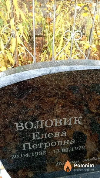 Воловик Елена Петровна