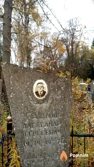 Гацко Александр Сергеевич