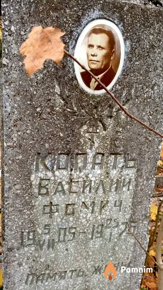 Копать Василий Фомич