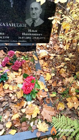 Казанджи Илья Николаевич