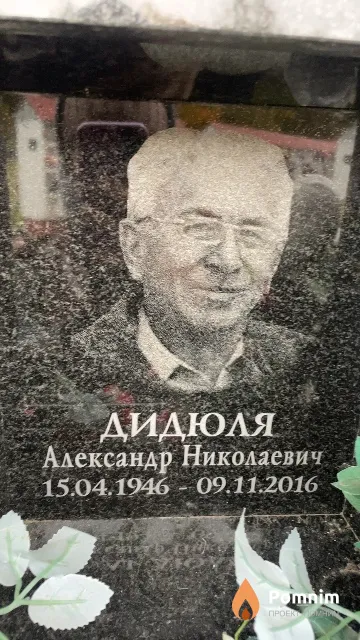 Дидюля Александр Николаевич