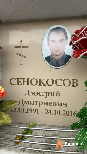 Сенокосов Дмитрий Дмитриевич