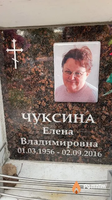 Чуксина Елена Владимировна