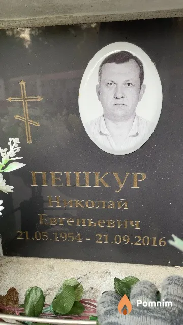 Пешкур Николай Евгеньевич