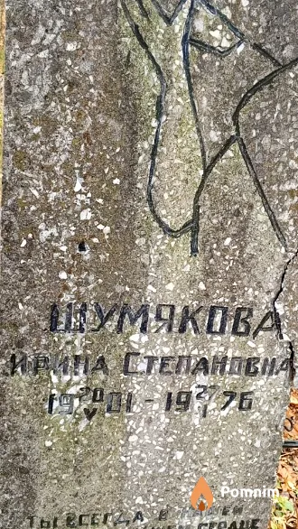 Шумякова Ирина Степановна