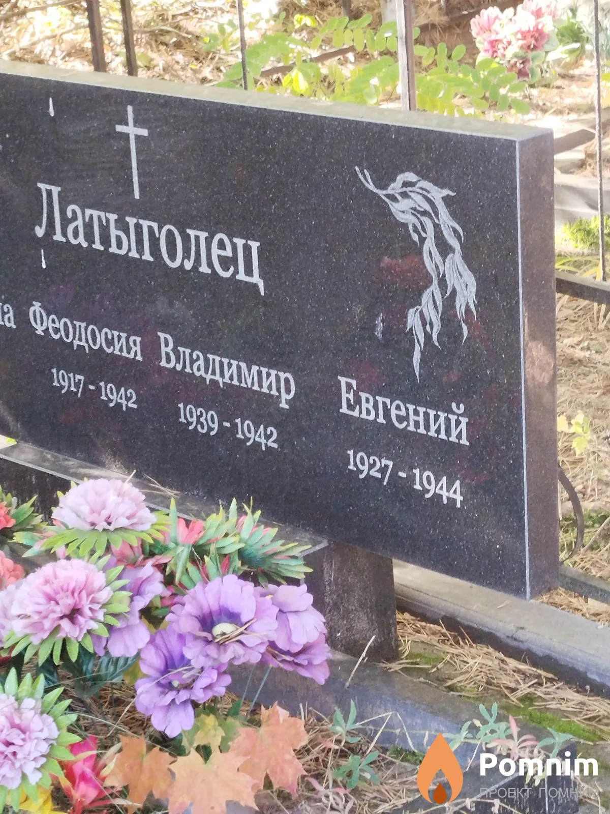 Латыголец Феодосия Владимир