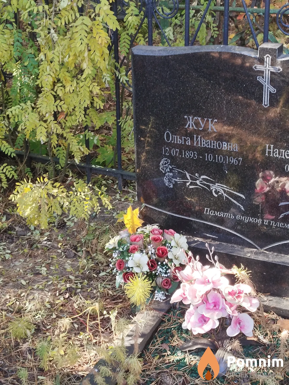 Жук Ольга Ивановна