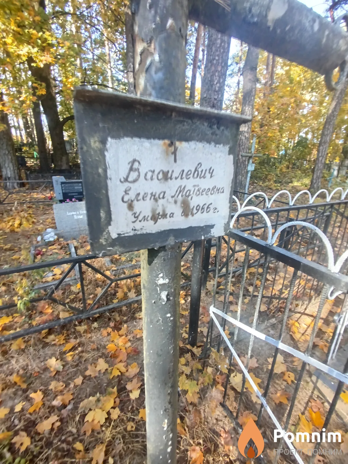 Василевич Елена Матвеевна