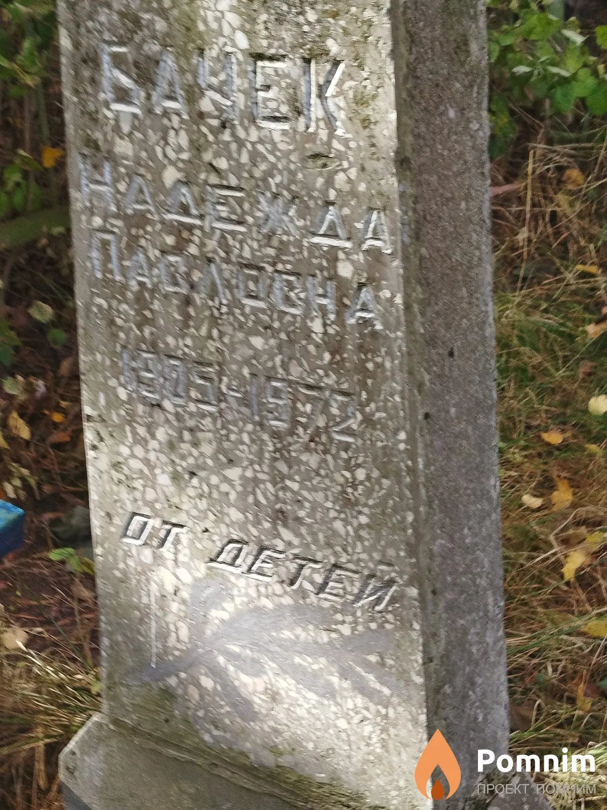 Бачек Надежда Павловна