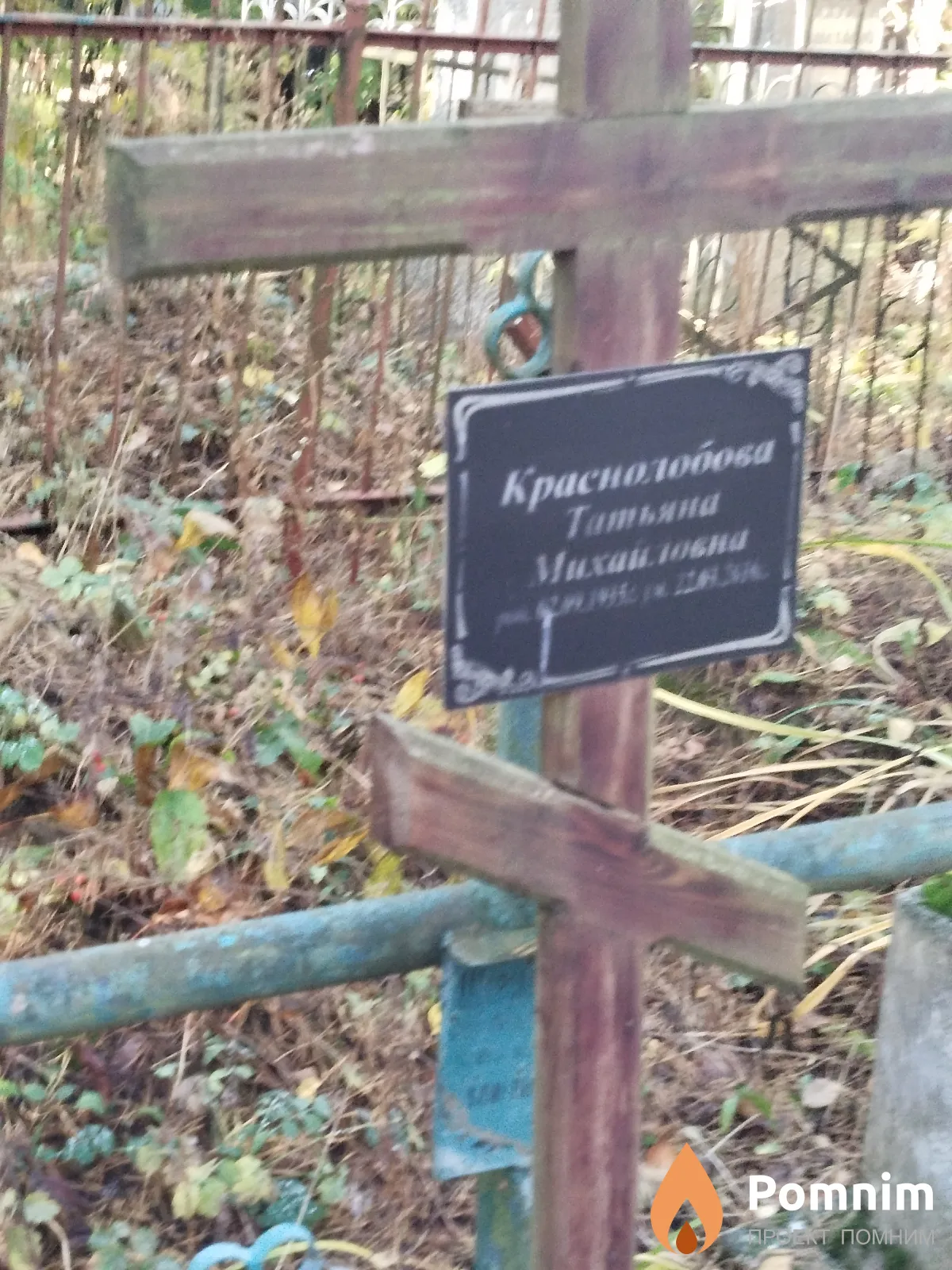 Краснолобова Татьяна Михайловна