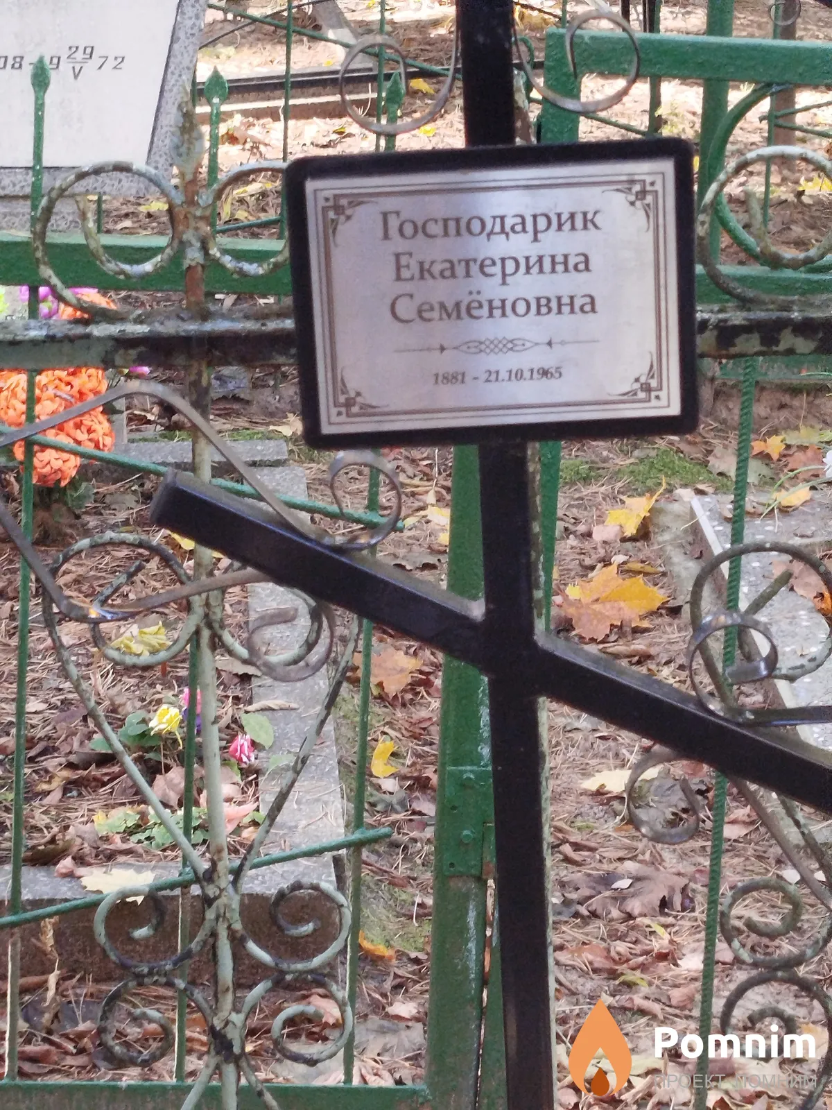 Господарик Екатерина Семёновна