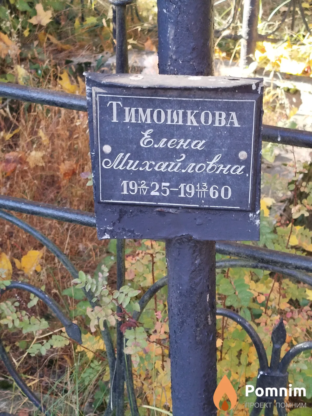Тимошкова Елена Михайловна