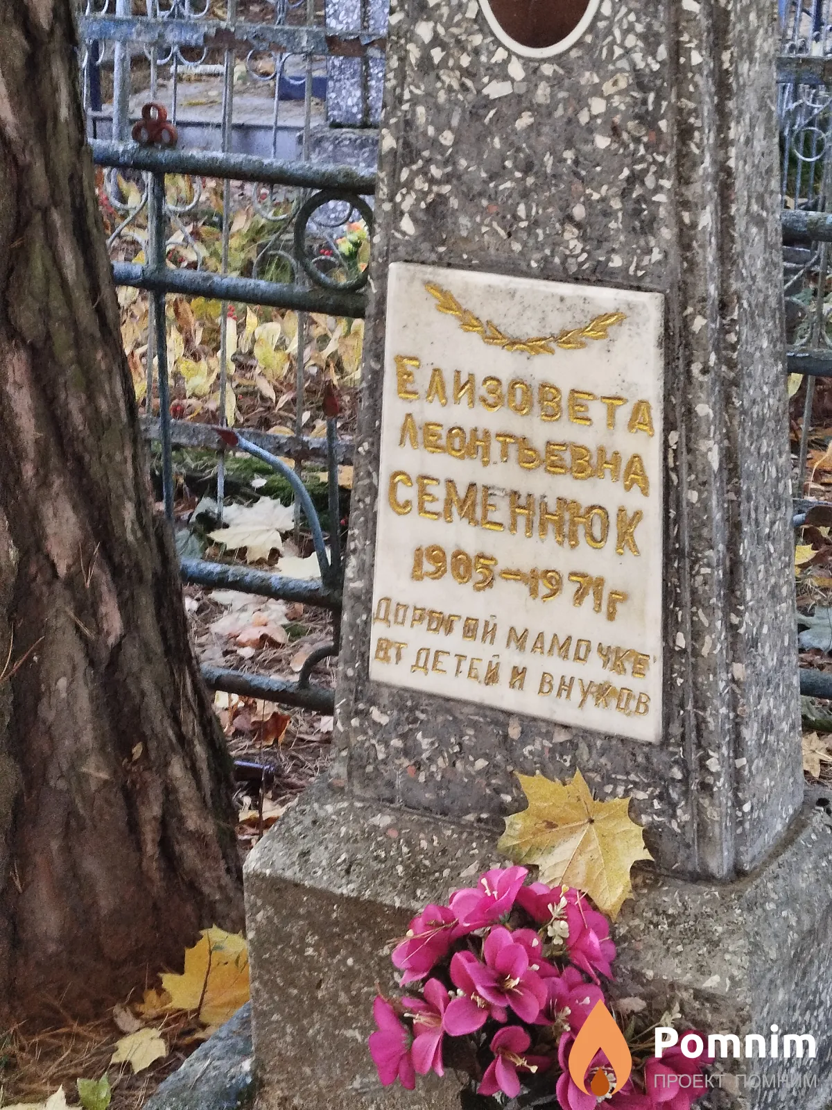 Семенюк Елизовета Леонтьевна