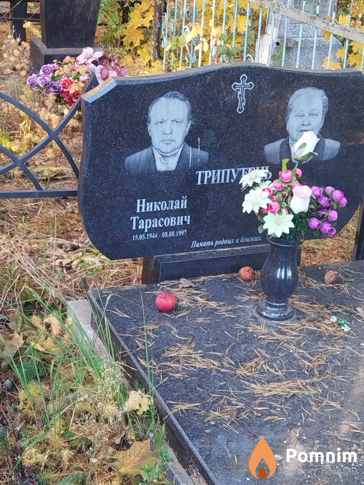 Трипутень Николай Тарасович