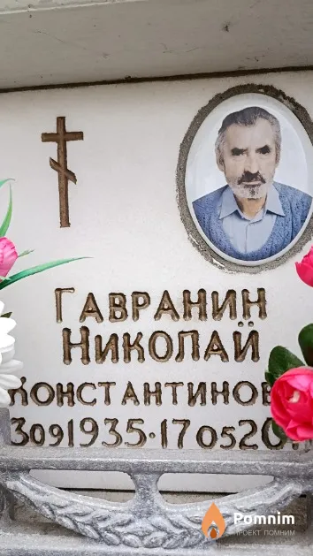 Гавранин Николай Константинович