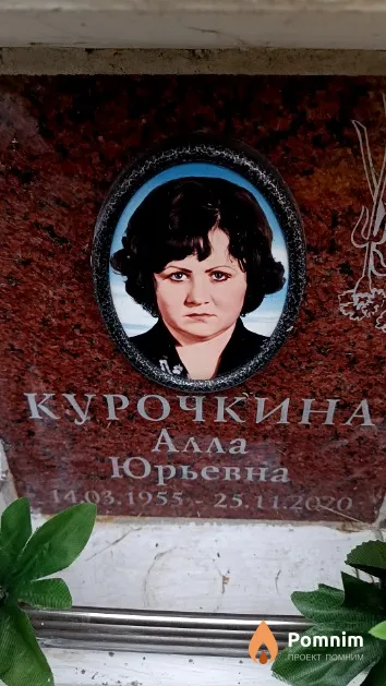 Курочкина Алла Юрьевна
