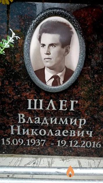 Шлег Владимир Николаевич
