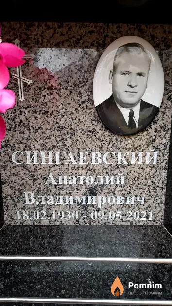 Сингаевский Анатолий Владимирович