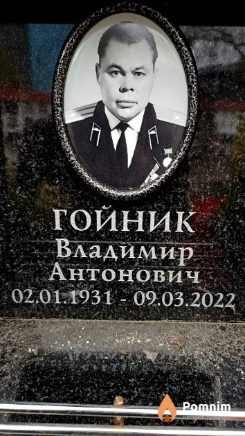 Гойник Владимир Антонович