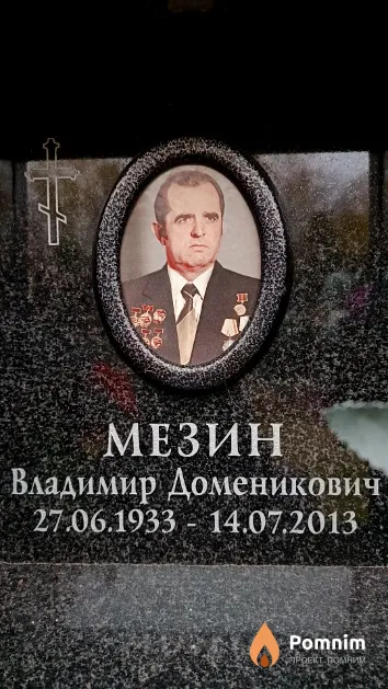Мезин Владимир Доменикович