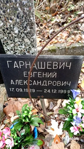Гарнашевич Евгений Александрович