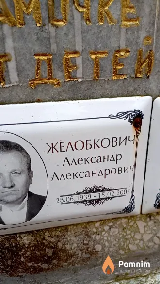 Желобкович Александр Александрович