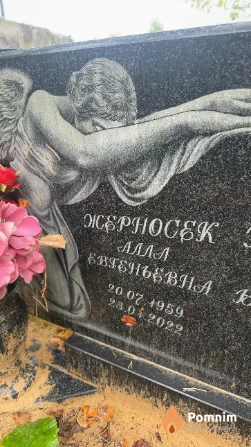 Жерносек Алла Евгеньевна