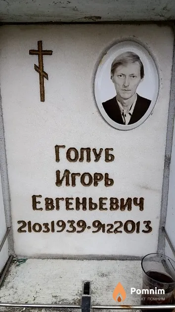 Голуб Игорь Евгеньевич