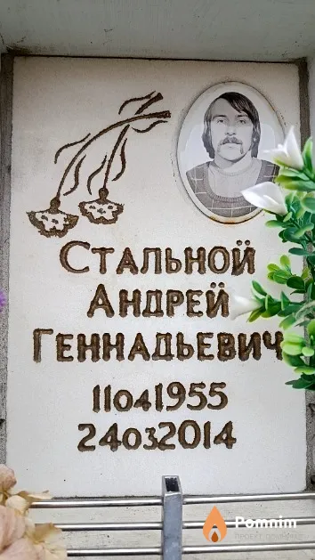 Стальной Андрей Геннадьевич