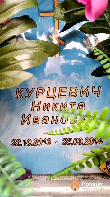 Курцевич Никита Иванович