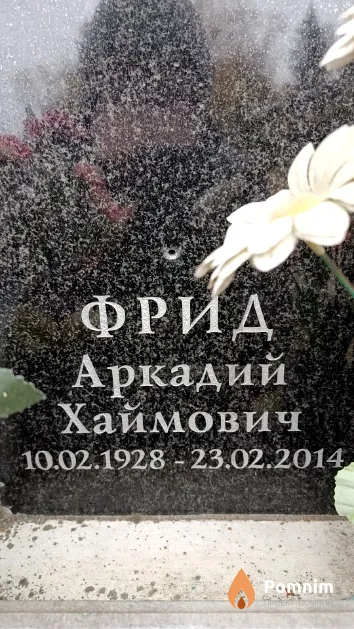 Фрид Аркадий Хаймович