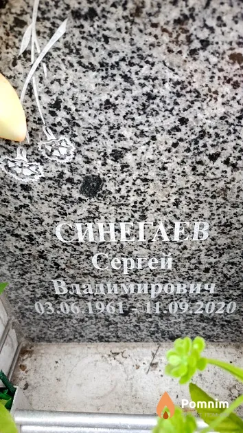 Синегаев Сергей Владимирович