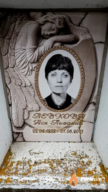 Левкова Ася Львовна