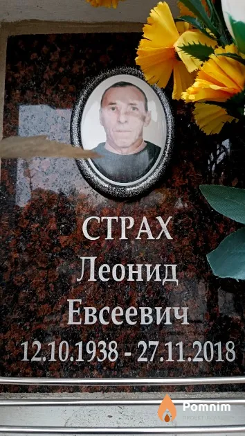 Страх Леонид Евсеевич
