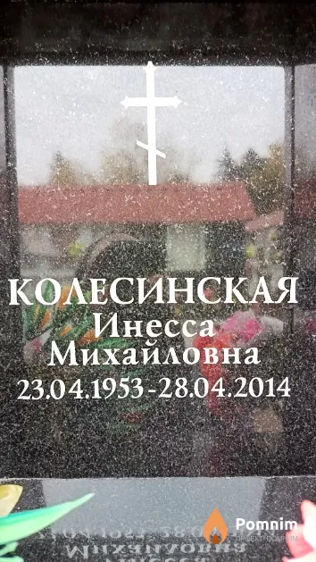Колесинская Инесса Михайловна