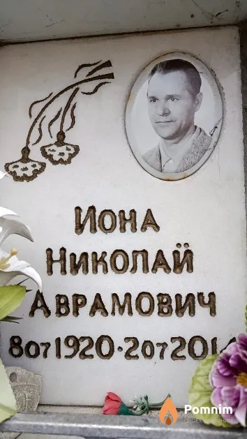 Иона Николай Аврамович