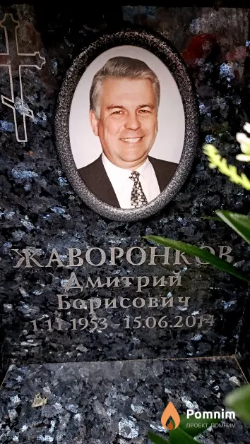 Жаворонков Дмитрий Борисович