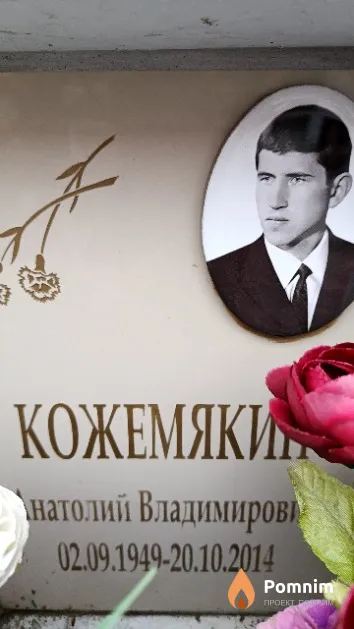 Кожемякин Анатолий Владимирович