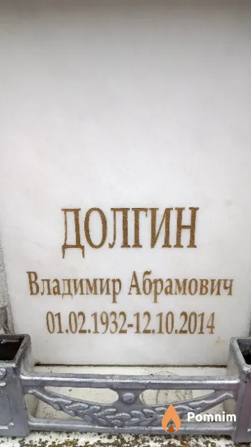 Долгин Владимир Абрамович