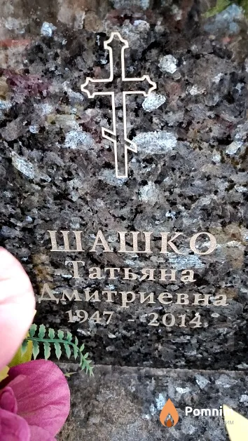 Шашко Татьяна Дмитриевна